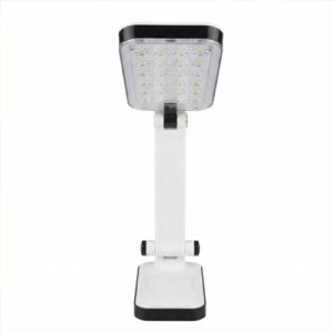 LED Table Lamps